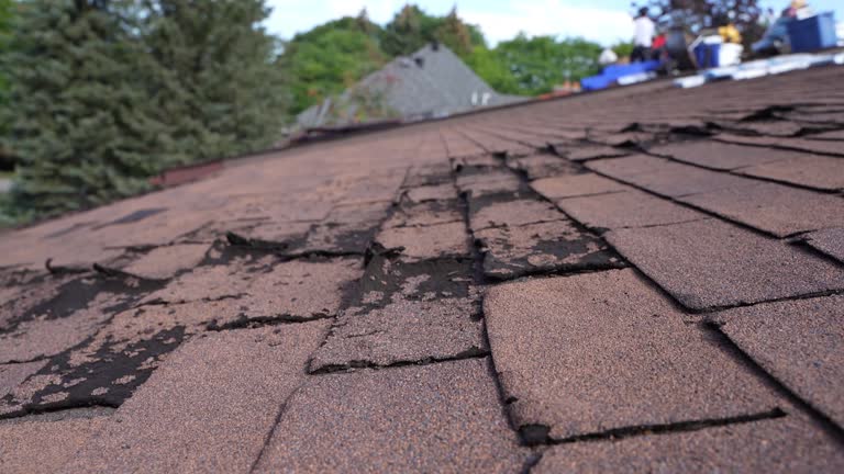 Roof Coating Services in Weissport East, PA