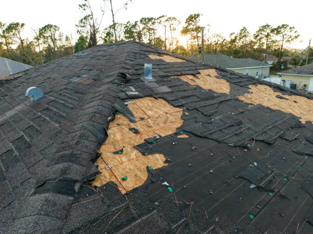 Steel Roofing in Weissport East, PA